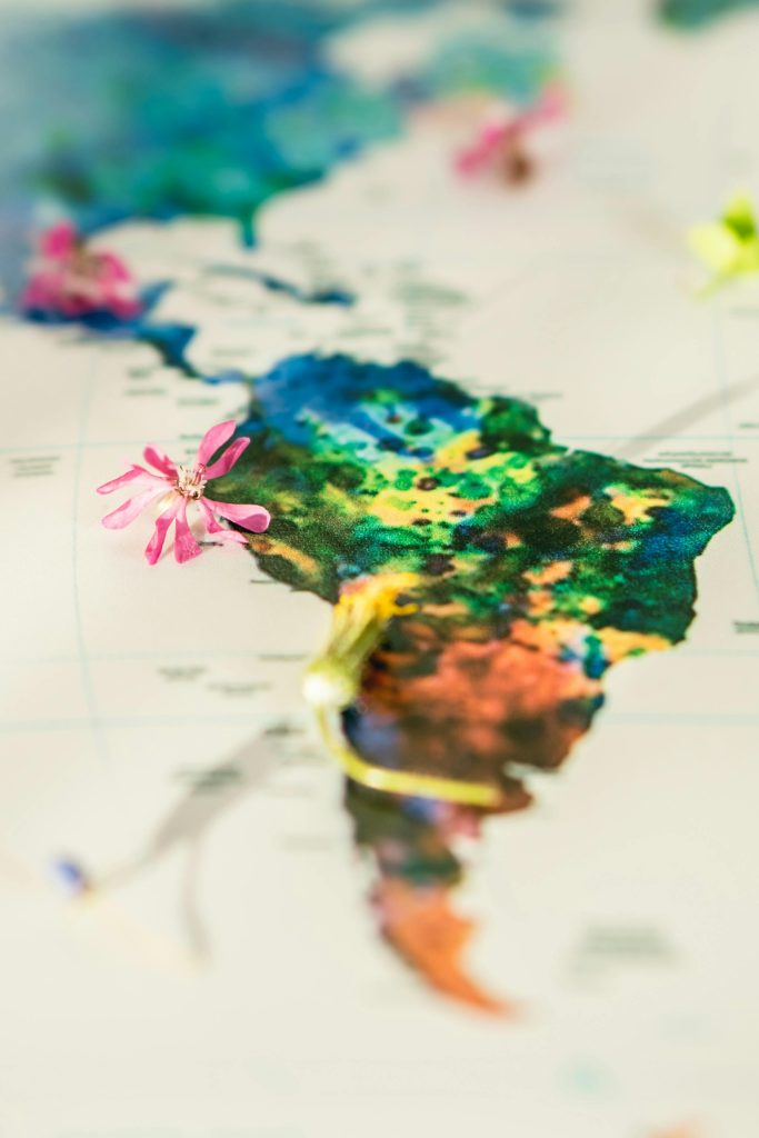 Seguros ErasmusAmérica Latina